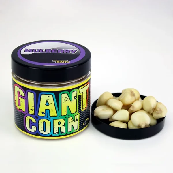 GIANT CORN mullberry 600x600