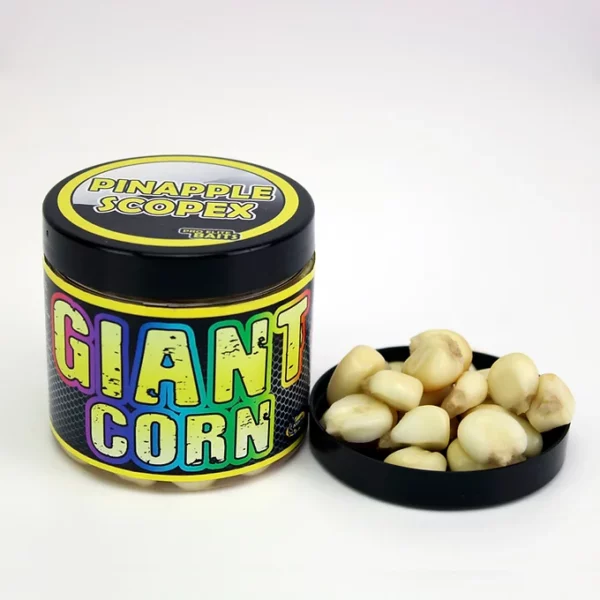 GIANT CORN pina 600x600